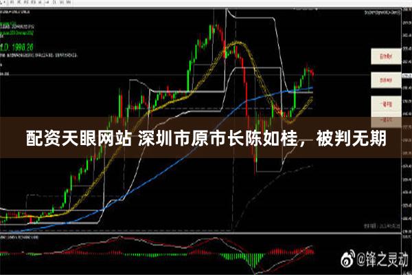 配资天眼网站 深圳市原市长陈如桂，被判无期