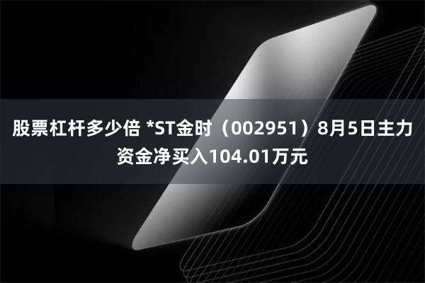 股票杠杆多少倍 *ST金时（002951）8月5日主力资金净买入104.01万元