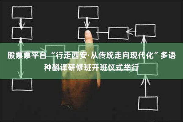 股票票平台 “行走西安·从传统走向现代化”多语种翻译研修班开班仪式举行