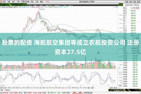 股票的配债 海航航空集团等成立农航投资公司 注册资本27.5亿