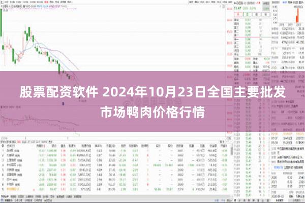 股票配资软件 2024年10月23日全国主要批发市场鸭肉价格行情