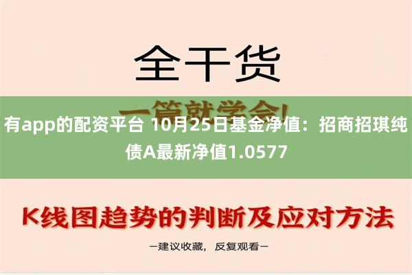 有app的配资平台 10月25日基金净值：招商招琪纯债A最新净值1.0577