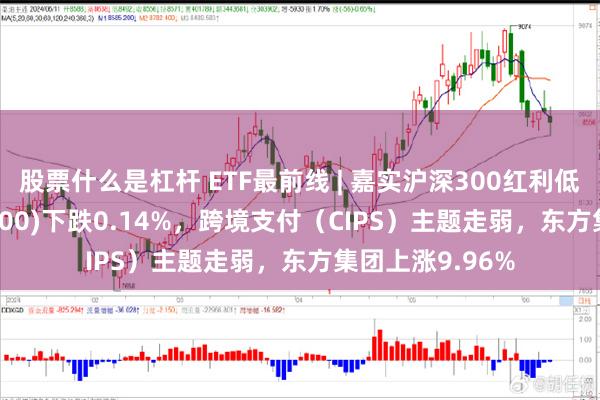 股票什么是杠杆 ETF最前线 | 嘉实沪深300红利低波动ETF(515300)下跌0.14%，跨境支付（CIPS）主题走弱，东方集团上涨9.96%