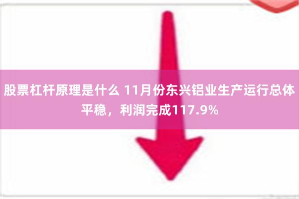 股票杠杆原理是什么 11月份东兴铝业生产运行总体平稳，利润完成117.9%