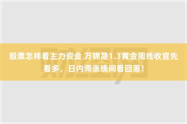 股票怎样看主力资金 万锦晟1.3黄金周线收官先看多，日内滞涨晚间看回落！