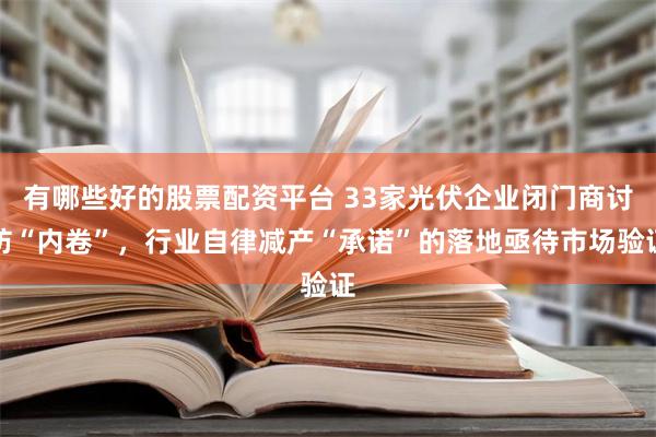 有哪些好的股票配资平台 33家光伏企业闭门商讨防“内卷”，行业自律减产“承诺”的落地亟待市场验证