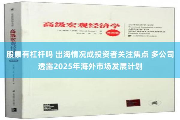 股票有杠杆吗 出海情况成投资者关注焦点 多公司透露2025年海外市场发展计划